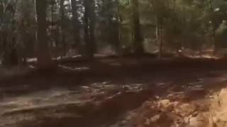 Off-Road Trail Fun