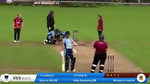 Dog enters field during cricket