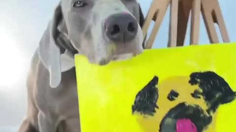 A dog draws on the board in an amazing way