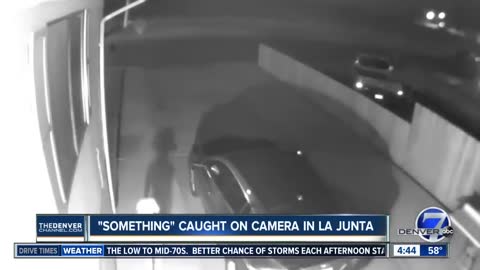 "Alien" caught on camera in La Junta