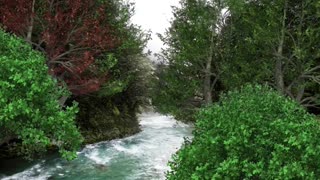 Relax Library: Video 47.Fast Moving River . Relaxing videos and sounds