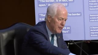 HCNN - WOW.... 'YOU DESERVE WORSE THAN PRISON' Watch Cornyn DESTROYS Mayorkas'