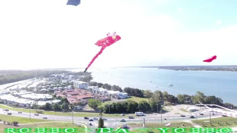 🪁 Go Fly A Kite 🎉 Sandstone Point Hotel 😍 Oyster Festival 🦪