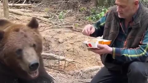 Even a bear refuses to eat fast food