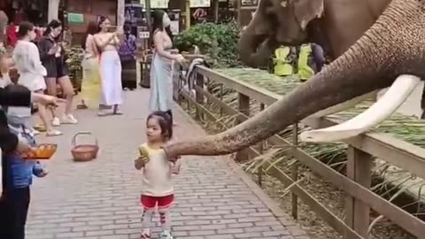 Kids and Elephant