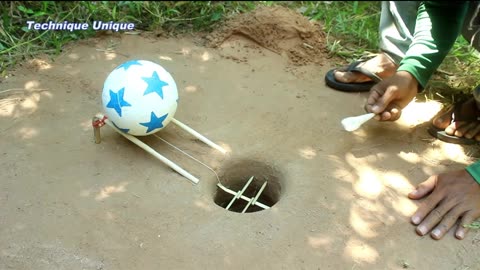 New Creative Unique Bird Trap Using Small Plastic Ball - Rolling Parrot Trap in Hole