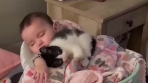 baby and cat