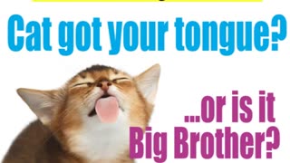 Cat got your tongue.or is it Big Brother