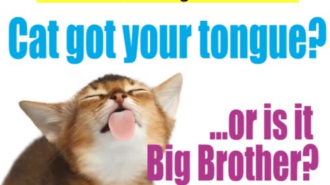 Cat got your tongue.or is it Big Brother