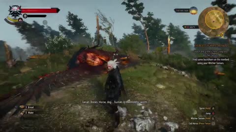 The Witcher 3 Playthrough Part 10