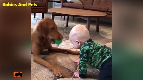 Funny Baby- Dog vs Baby