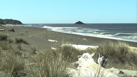 Paradise Point in Port Orford, Oregon