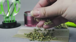 Best Marijuana Grinders | Smokeopedia.com