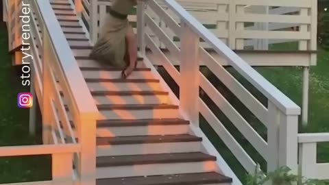 The end 😂😂😂 #funny #viral #shorts #funnyvideos #trustedhumor