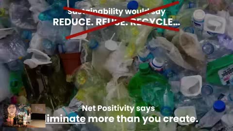 Net Positivity vs Sustainability - Dirk's talk at the Greater Reset 4