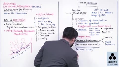 LEC#3 WAYS OF TRANSPORT IN PLANTS