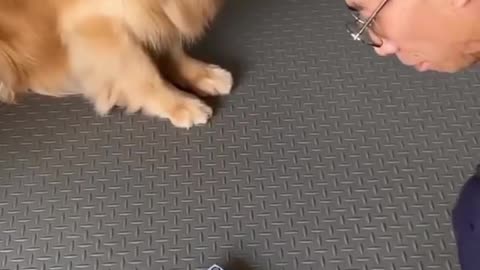 Amazing dog training video ☺️
