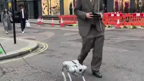 Propongo un pezzo di coglione TRANSUMANO con un cane Pastore sionista..