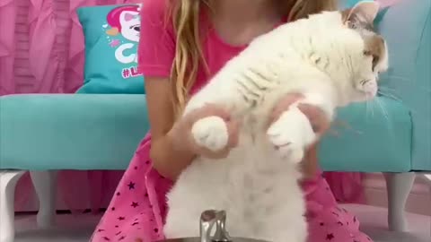 Nastya and dad play with cat