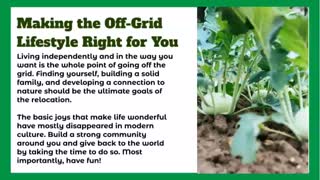 How to Live Off Grid