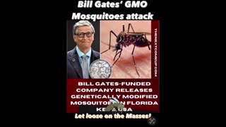 Bill Gates GMO Mosquitoes attack!….