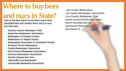 Beekeeping Supplies Florida