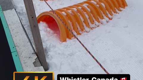 Snow Tubing 🏔️ Whistler, Canada 🇨🇦 02.2023 | ❄️✨🍁🥃☃️ #whistler #tubing