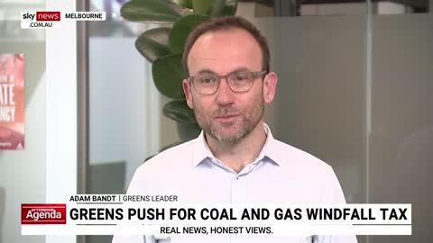 Greens push for windfall tax on coal and gas companies