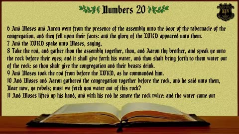 (04) - Numbers (KJV) Dramatized With Words