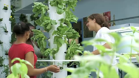 Tower Gardens® at The Green Bronx Machine