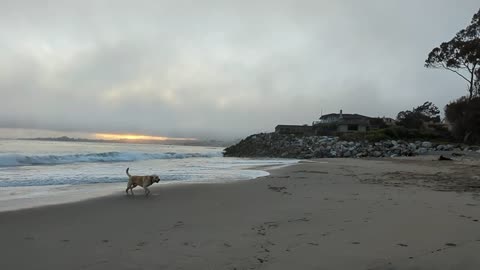 Winter at Moran Lake Beach