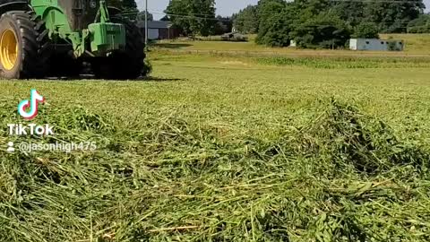 Second cut alfalfa