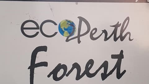 Eco 🌎 Death