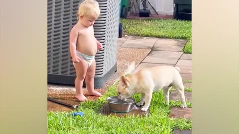 Funny Adorable Antics: Babies and Pets Edition