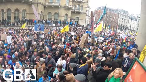 A Sea of People: Freedom Protests Grow A Hundred-Fold