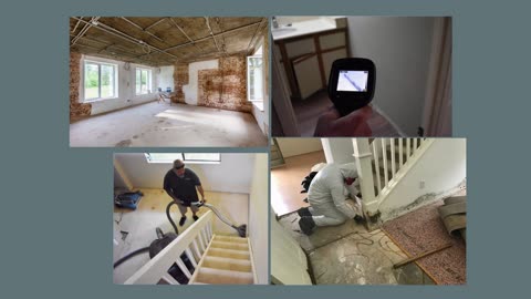 Mold Removal