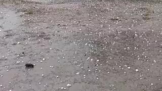 Vídeo: Arroio Grande registra chuva de granizo