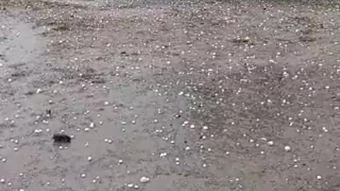 Vídeo: Arroio Grande registra chuva de granizo