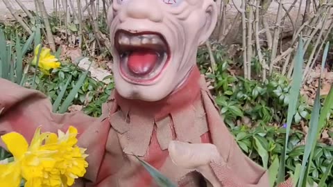 Zombie animatronic in the Spring 🌼🌷