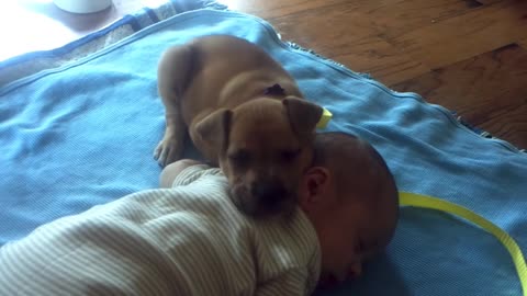 Adorable Puppy Falls Asleep On Baby while he Wasnt Awake