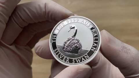 Australian Silver Swan 1oz coin Perth Mint 2023