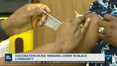 Vaccination rate in Black communities “lower than general population- NEWS OF WORLD 🌏