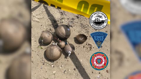 Unexploded fireworks wash up on Martha's Vineyard beach, company suspended