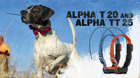 Garmin Alpha TT 25 GPS Dog Tracking and Training Collar link description