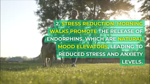 Why Morning walk is Necessary for Health