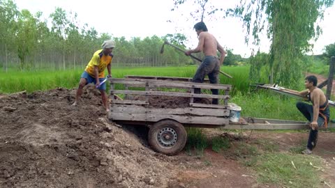 Loading cassava on cart