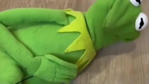 Kermit The Frog Needing To Fart
