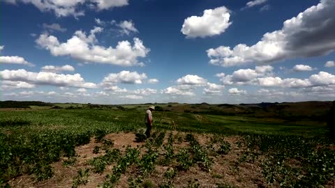 Why are global food prices going up?