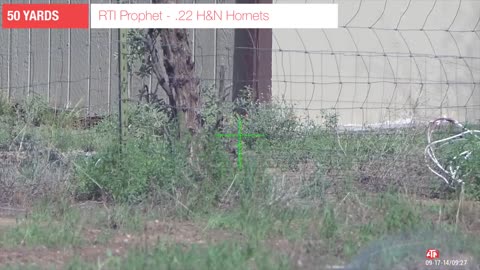 Airgun PEST Control - Squirrel Infestation - RTI Prophet Performance .22 + H&N Hornets go SMACKING!