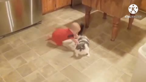 Babies playing with cute cat compilation